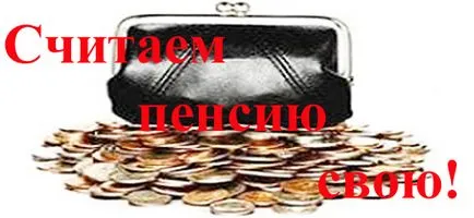 Как да се определи размерът на пенсията Как да се определи размерът на пенсията