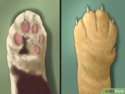 Отрязаното нокти при котките
