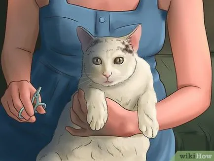 Отрязаното нокти при котките