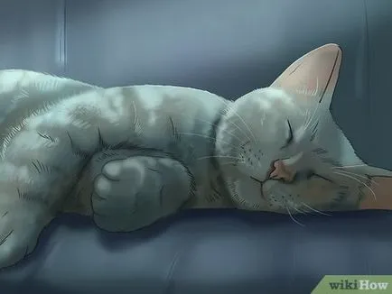 Отрязаното нокти при котките