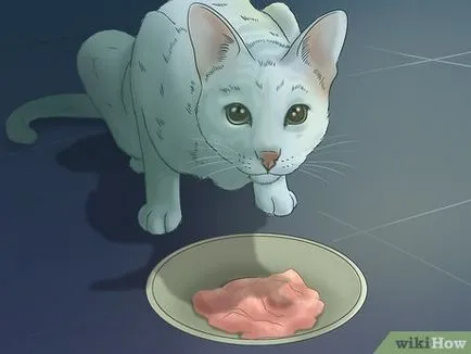 Отрязаното нокти при котките