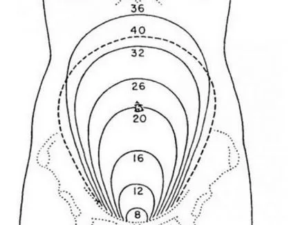 Тегло на ултразвук, за да се определи