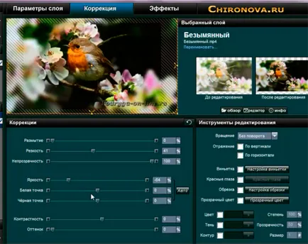 Как производител ProShow