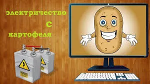 Електричество от картофи, как да се получи