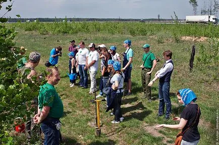 Как да се засади гора Как да се засади гора