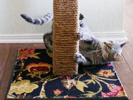 Дърво за котки