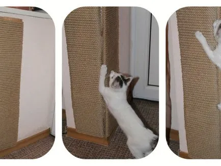 Дърво за котки