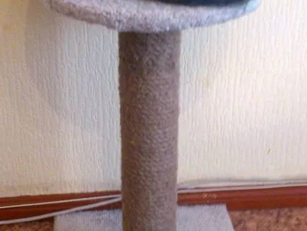 Дърво за котки