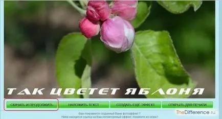 Как да пишем една снимка с надпис Как да пишем една снимка с надпис