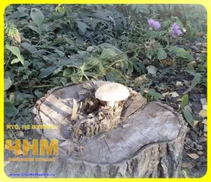 Как да се възстанови къщата Как да се възстанови къщата