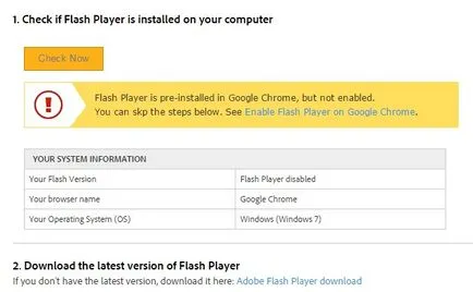 Как Flash Player