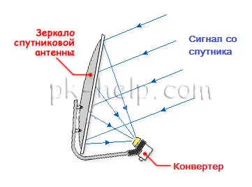 Как да инсталирате NTV Plus