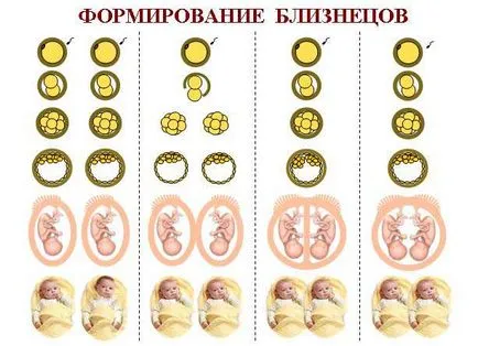 Искам да обичам близнаци