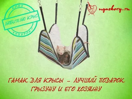 Хамак за плъх работилници и идеи със собствените си ръце, здравей, блогър най-интересните блогове Runet
