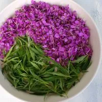 Колко полезна fireweed