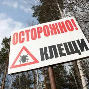 Как е енцефалит Как е енцефалит