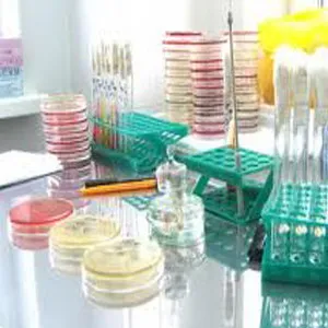 Сеитбата на цервикалния канал, който е Сеитбата на цервикалния канал, който е