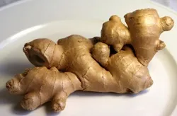 Как да се хранят корен от джинджифил