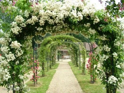 Garden украшение със собствените си ръце Garden украшение със собствените си ръце