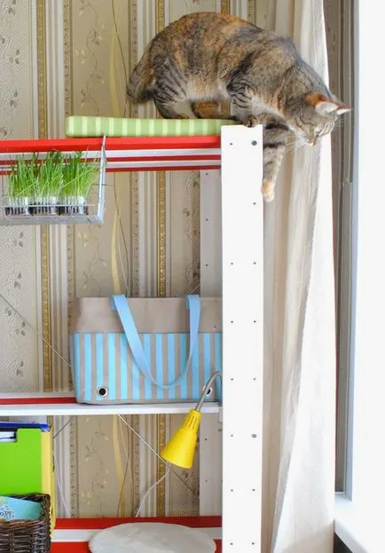 Дърво за котки