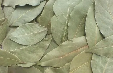 лечение диабет лавров