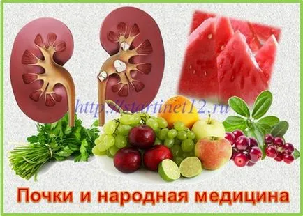 Средства за лечение на камъни в бъбреците