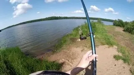 Кога и как да хване платика