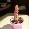 Майсторски класове за майки