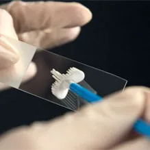 Както PCR се взема