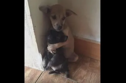 Не вярвайте на това, което виждате