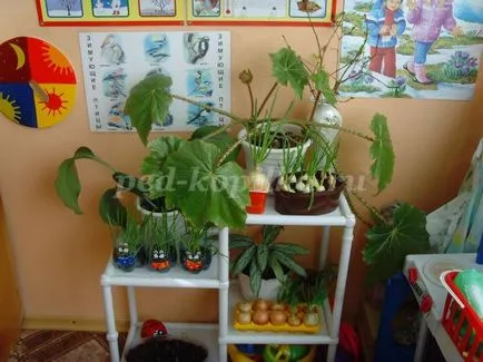 Как да си направим съблекалнята в детската градина Как да си направим съблекалнята в детската градина