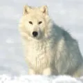 Интересни факти за календара - прости отговори на сложни въпроси