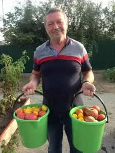 Как да украсят вашата градина Как да украсят вашата градина
