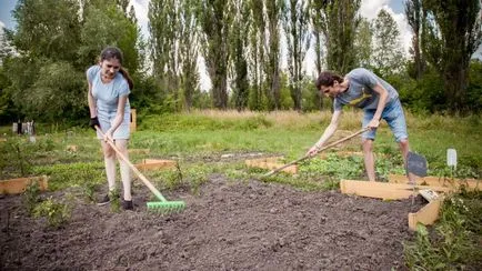 Как да украсят вашата градина Как да украсят вашата градина