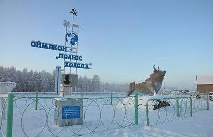 Как да живеем в студа