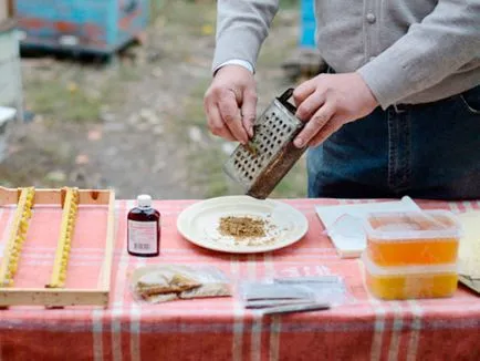 Как и какво лечение прополис
