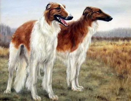 ловно куче