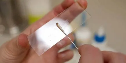 Както PCR се взема Както PCR се взема
