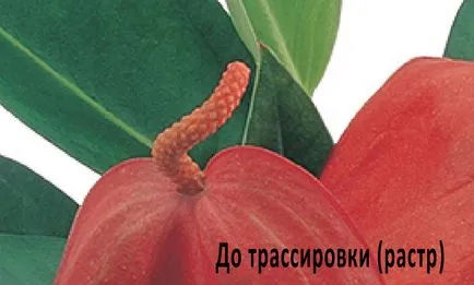 Как да прехвърлите от векторна в растерно
