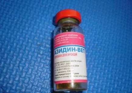 Симптомите на пироплазмозата при кучета