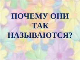 Представяне Защо вали