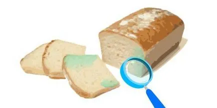 Как плесенясал хляб