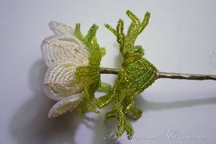 Майсторски клас анемони топчета
