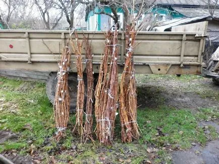Какво плетената ограда