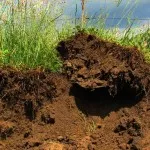Какво е повърхностния слой на почвата Какво е повърхностния слой на почвата