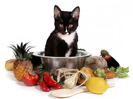 Разстройство при котки