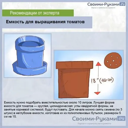 Домати в саксии