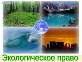 Какво е екология представяне Какво е екология представяне