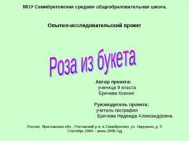 Какво е екология представяне Какво е екология представяне