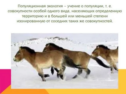 Какво е екология представяне